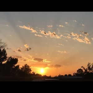 Meet your Posher, Robin